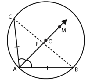 NCERT Exemplar Solutions: Circles | Mathematics (Maths) Class 9