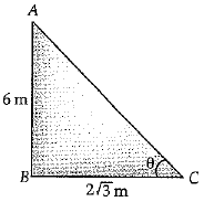 Class 10 Mathematics: CBSE Sample Question Paper (2019-20) - 5 | CBSE Sample Papers For Class 10