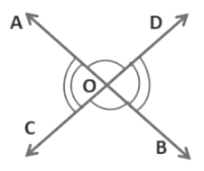 Lines and Angles Class 9 Notes Maths Chapter 6