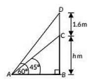 Class 10 Maths Chapter 9 Previous Year Questions - Some Application of Trigonometry