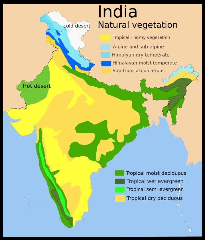 Natural vegetation and wildlife deals class 9