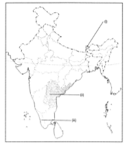 Class 9 Geography Chapter 1 Extra Question Answers - India - Size and Location