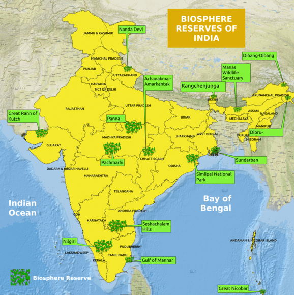 Detailed Chapter Notes - Natural Vegetation and Wildlife Notes | Study Social Studies (SST) Class 9 - Class 9