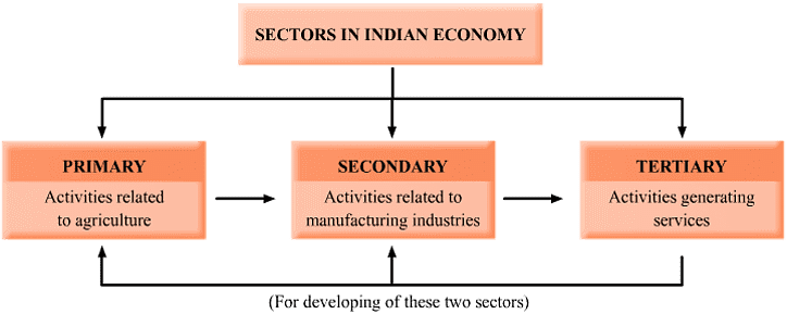Classification of Economic Sectors 