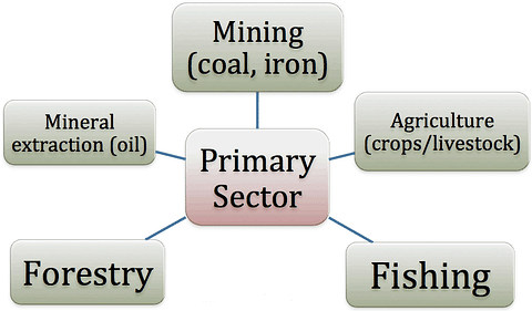 Primary Sector of Economy