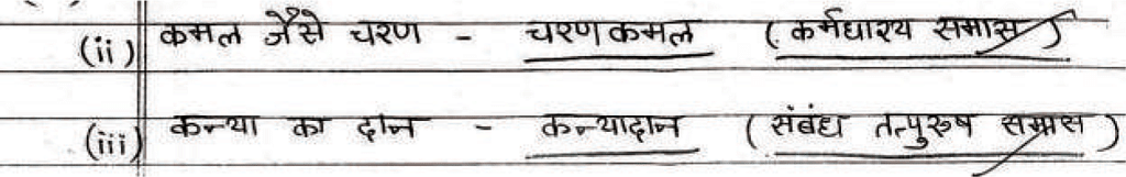 Class 10 Hindi (B): Topper`s Answer Sheet (2019) | Hindi Class 10