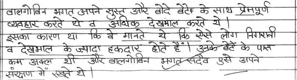 Class 10 Hindi (A): Topper`s Answer Sheet (2019) | Hindi Class 10