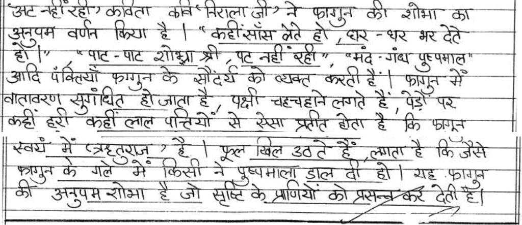 Class 10 Hindi (A): Topper`s Answer Sheet (2019) | Hindi Class 10