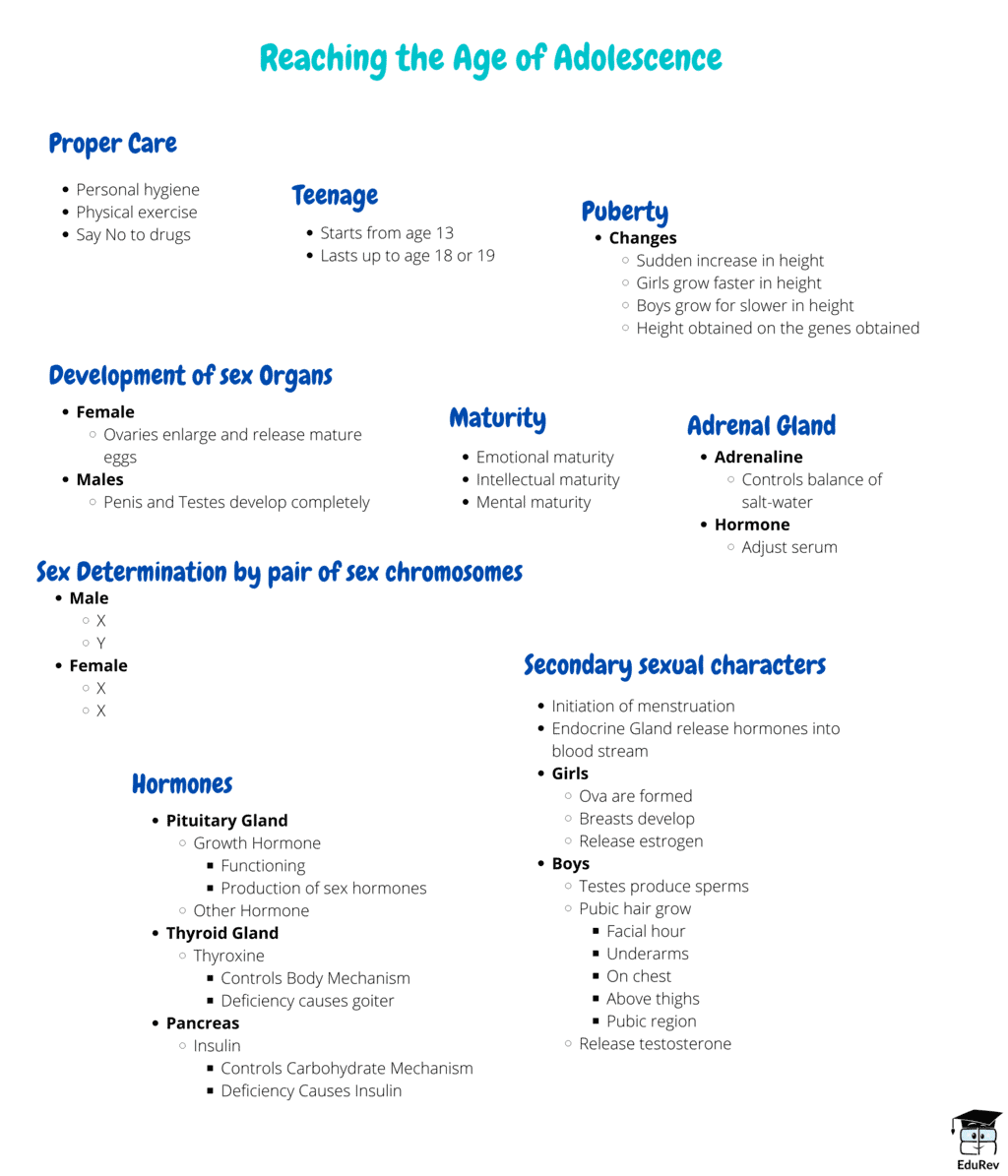 mindmap-reaching-the-age-of-adolescence-science-class-8-pdf-download