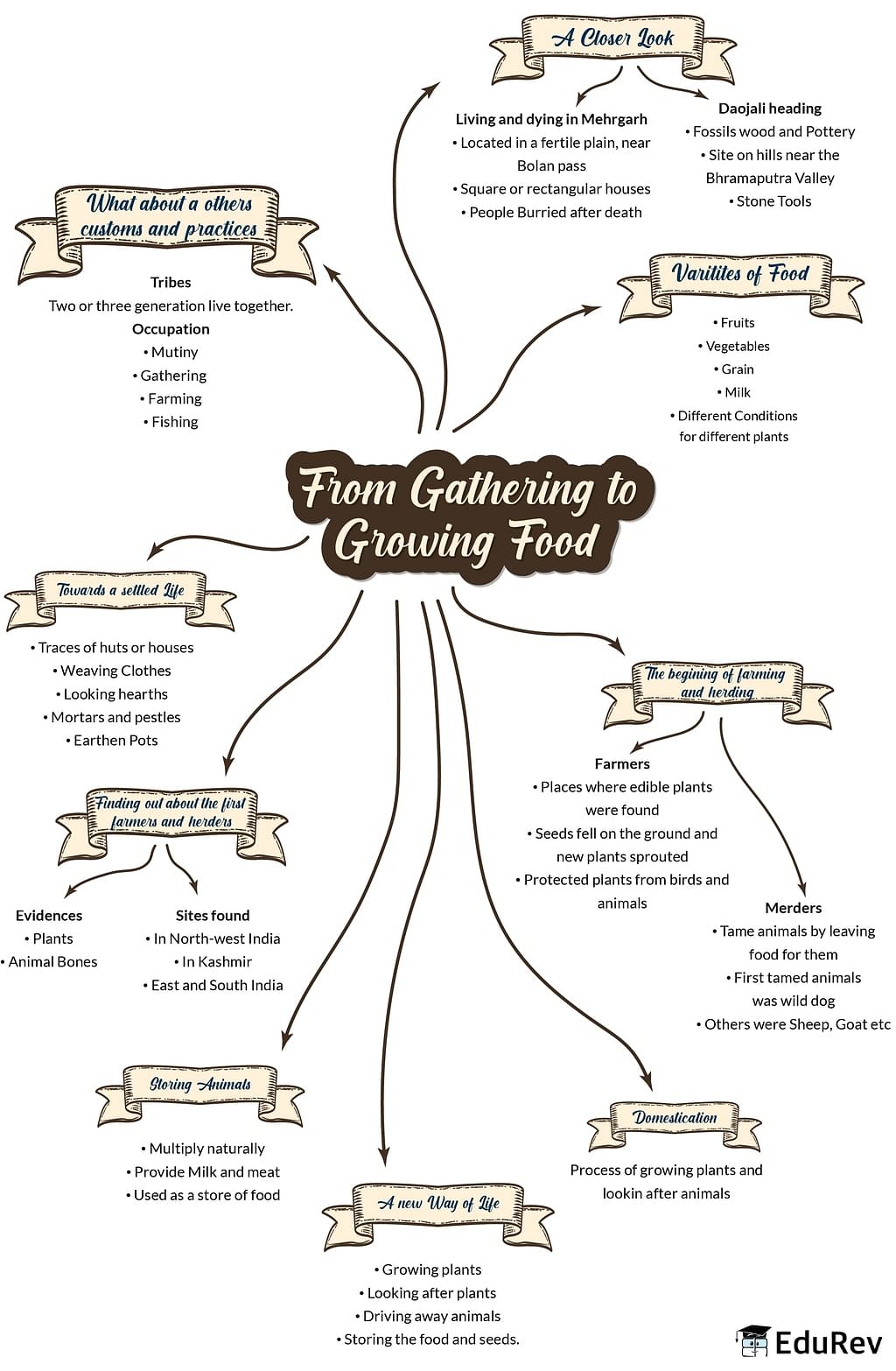 Mindmap: From Hunting-Gathering to Growing Food | Social Studies (SST) Class 6