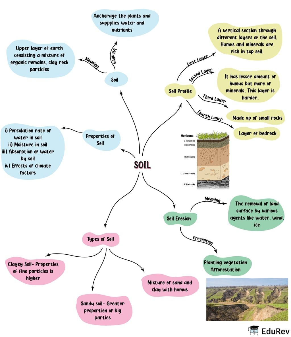 Soil Class 7 Questions With Answers