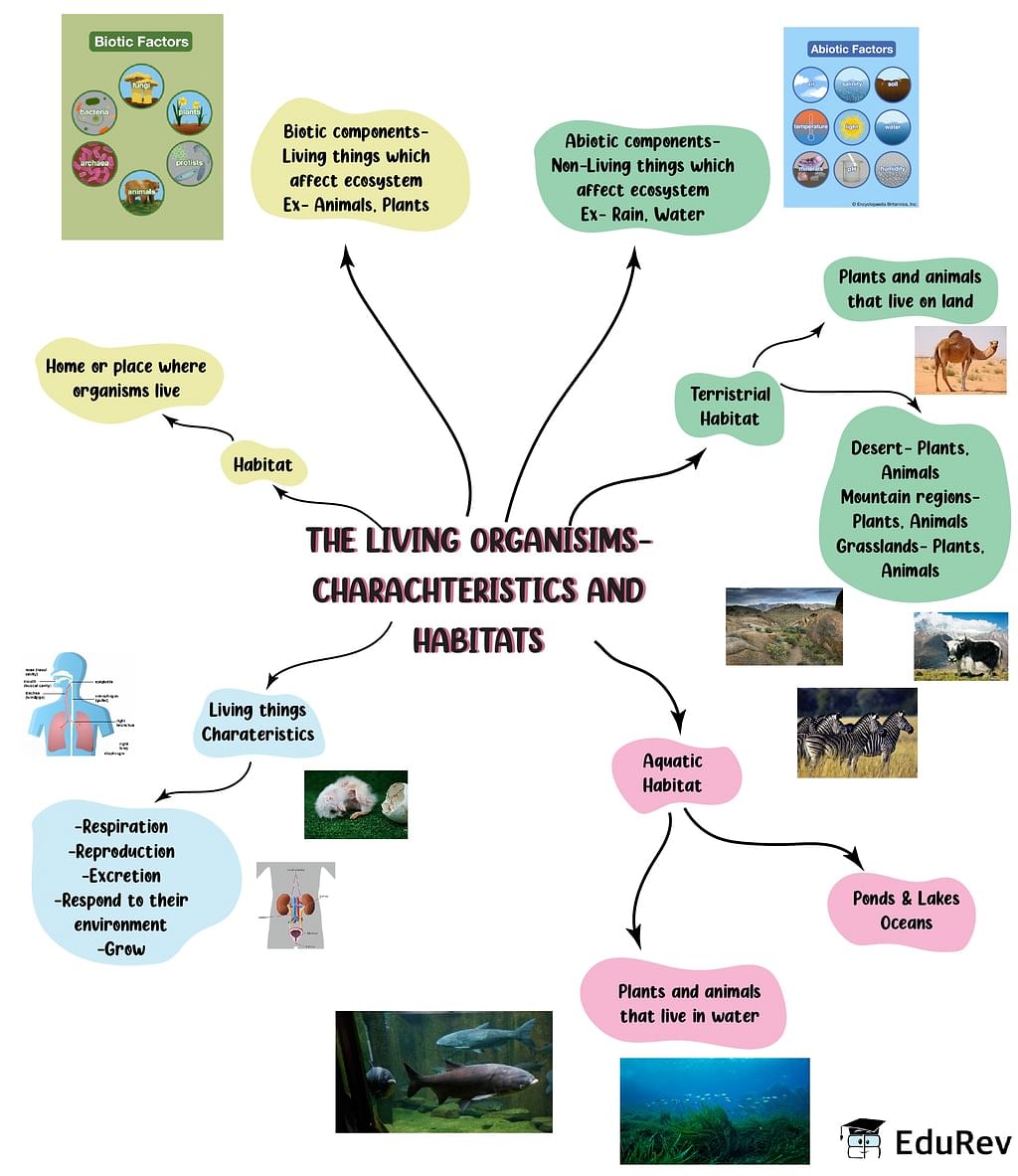 Mindmap: The Living Organisms - Characteristics & Habitats - Notes | Study Science Class 6 - Class 6