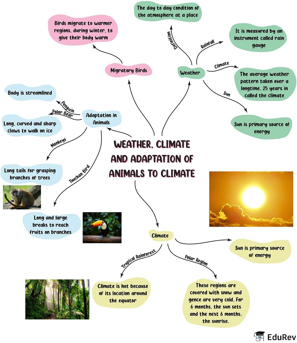 mindmap-weather-climate-and-adaptation-of-animals-to-climate-science-class-7-pdf-download