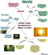 Mindmap Weather Climate And Adaptation Of Animals To Climate 