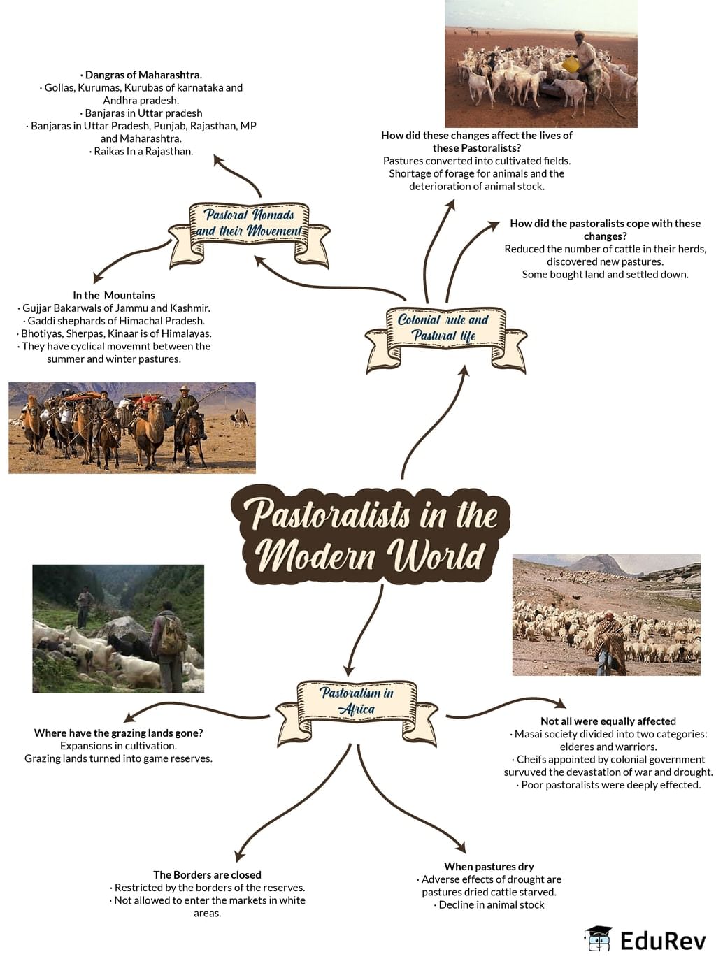 mindmap-pastoralists-in-the-modern-world-social-studies-sst-class