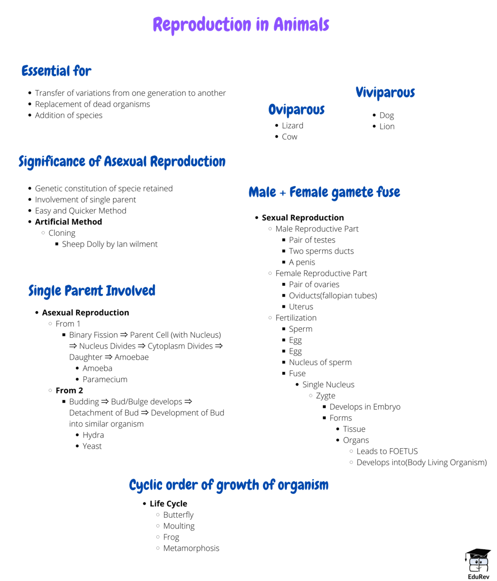 Mindmap: Reproduction in Animals - Notes | Study Science Class 8 - Class 8 Mindmap: Reproduction in Animals - Notes | Study Science Class 8 - Class 8