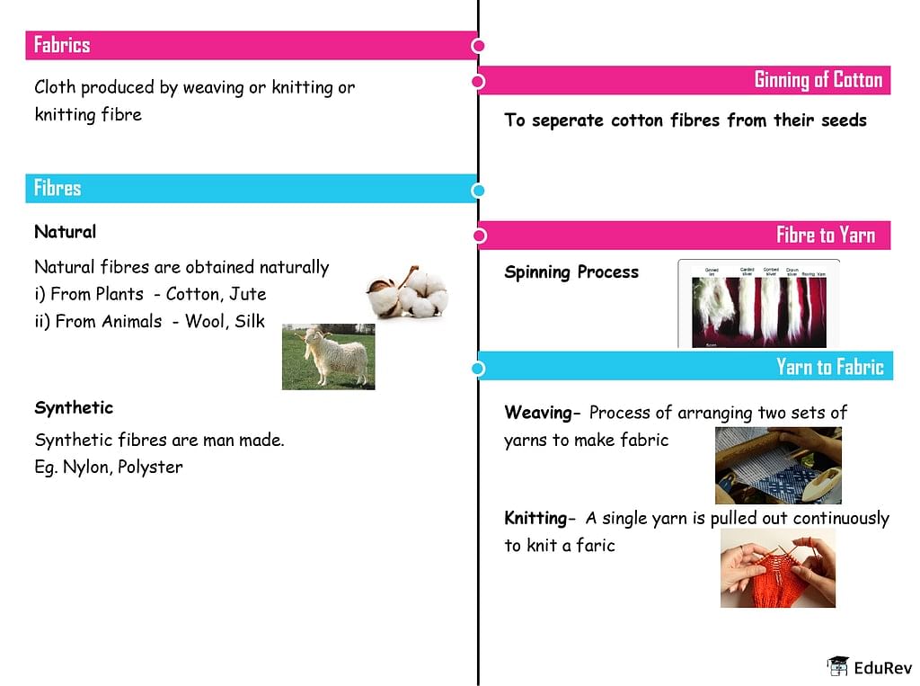 Mindmap: Fibre to Fabric - Notes | Study Science Class 6 - Class 6