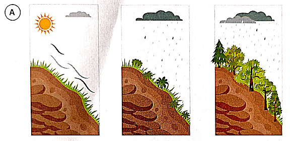 Textbook Solutions: Soil Erosion And Conservation - Eureka Plus Class 5 ...