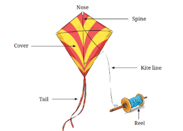 The Kites NCERT Solutions - English Class 6 (Honeysuckle) PDF Download