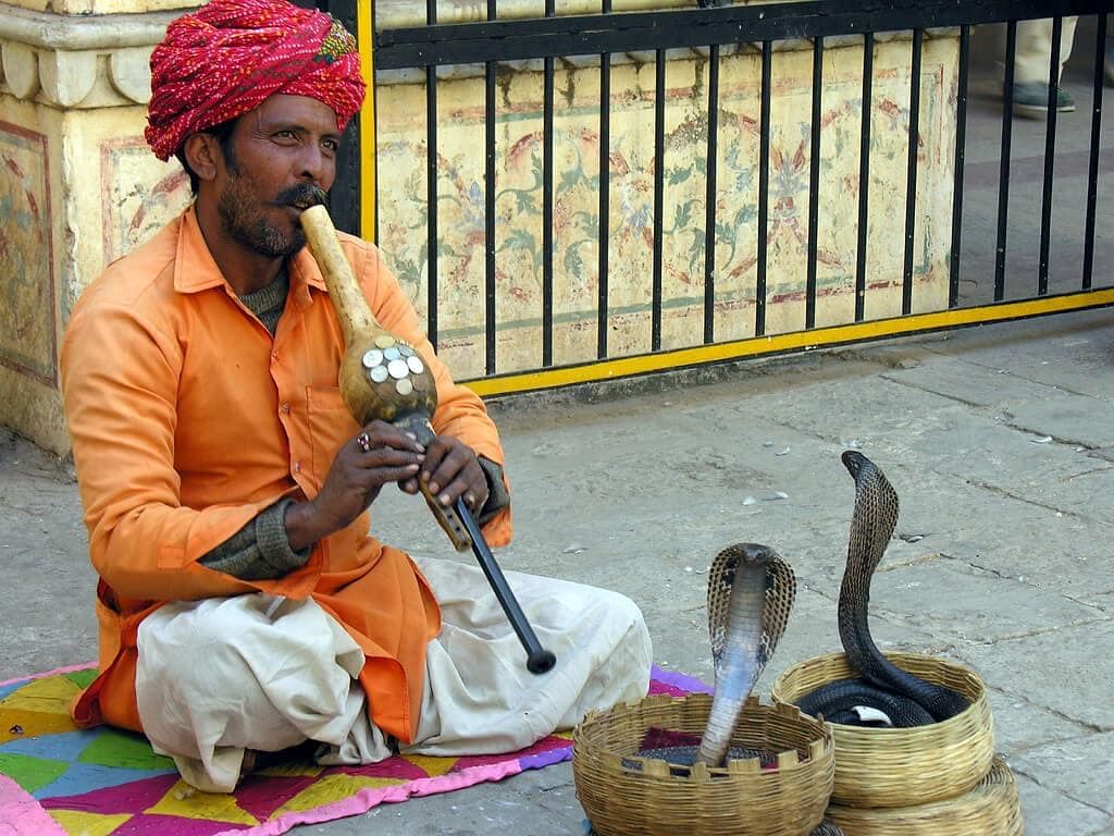 NCERT Solutions: A Snake Charmer`s Story Notes | Study EVS Class 5 - Class 5