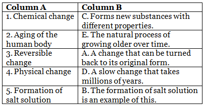 Changes Around Us Class 6 Worksheet Science