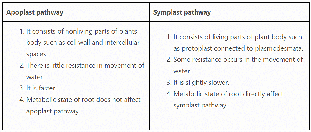 Transport In Plants Chapter Notes - Biology For ACT PDF Download