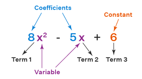 Polynomials in One Variable - The Complete SAT Course - Class 10 PDF ...
