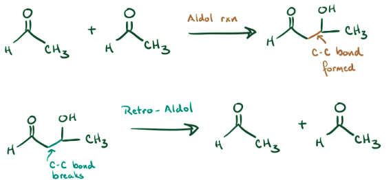 Aldol Reactions in Metabolism: Unveiling the Chemistry and Mechanisms ...