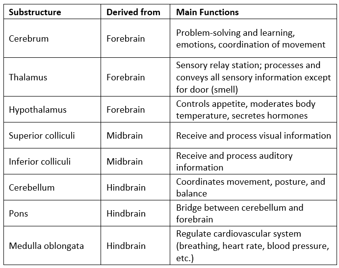 Behaviour and Biology Psychology and Sociology for MCAT PDF Download