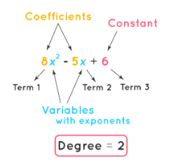 Polynomial Expressions - The Complete SAT Course - Class 10 PDF Download