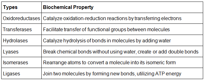 Enzymes Structure, Classification and Function - Chemistry for ACT PDF ...