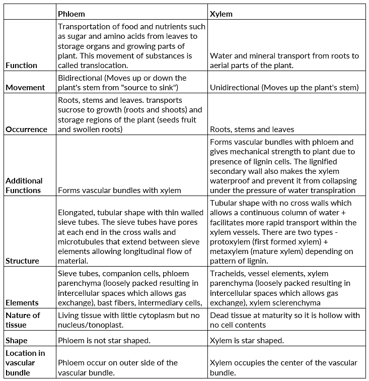 Phloem vs. Xylem Biology for ACT PDF Download