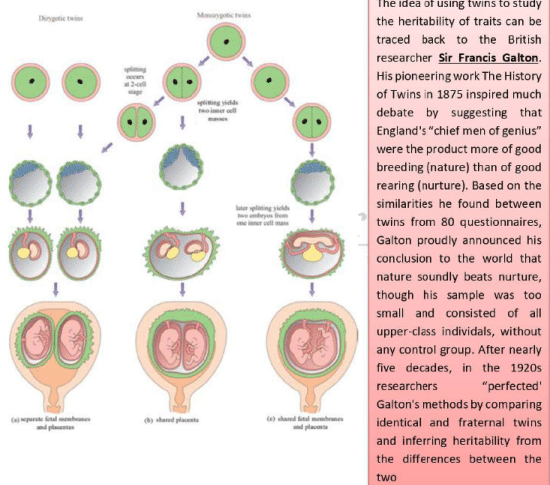 Twin Study Notes - UPSC