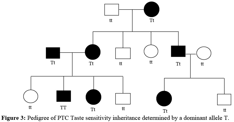 Pedigree Analysis | Anthropology for UPSC Optional