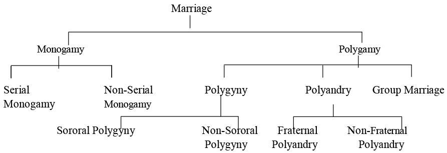 types-of-marriage-anthropology-optional-for-upsc-pdf-download