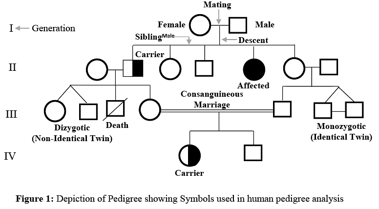 pedigree-analysis-principles-of-inheritance-and-variation