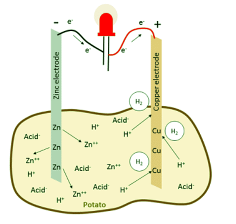How to Turn a Potato Into a Battery - Year 7 PDF Download