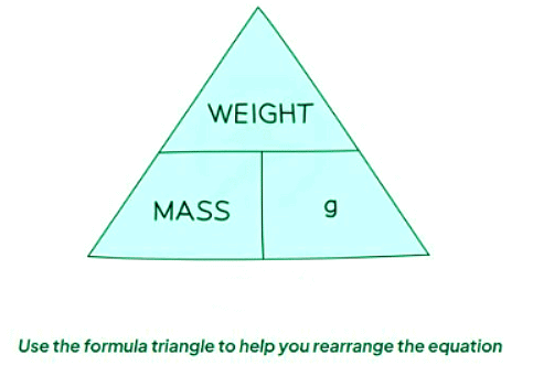 Mass and Weight - Physics for GCSE/IGCSE - Year 11 PDF Download