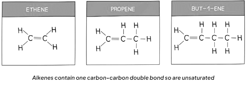 Saturated and Unsaturated Compounds - Chemistry for Grade 11 (IGCSE ...