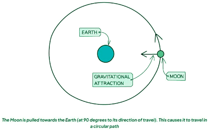 Circular Motion - Physics for GCSE/IGCSE - Year 11 PDF Download