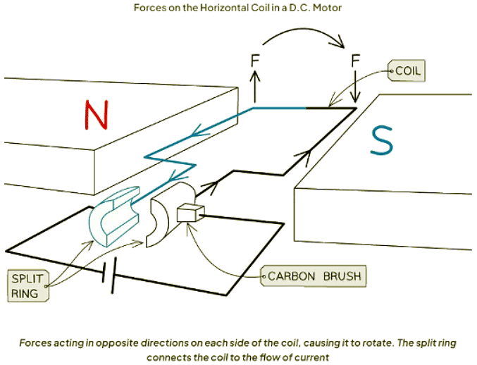 Electric Motors Physics for GCSE/IGCSE Year 11 PDF Download