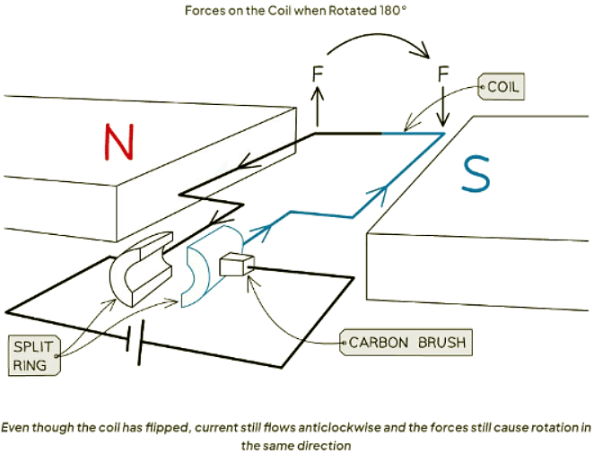 Electric Motors Physics for GCSE/IGCSE Year 11 PDF Download