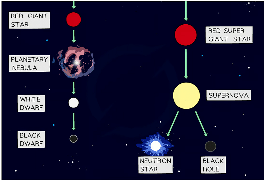 all of the white dwarf life cycle