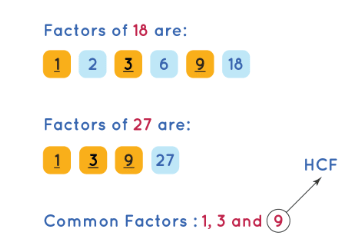 HCF - Highest Common Factor | Mathematics for Grade 10