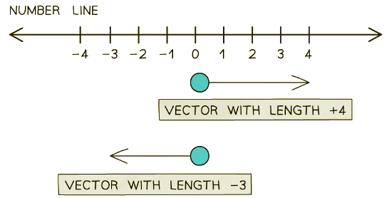 Forces as Vectors | Physics for Grade 10