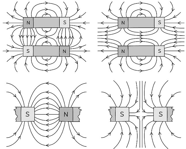 Field & The Earth's Field Physics for Grade 10
