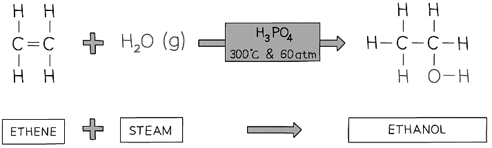 Addition Reactions Of Alkenes Chemistry For Grade 10 