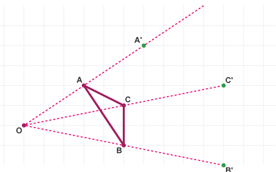Notes: Enlargement | Graphs for MAT