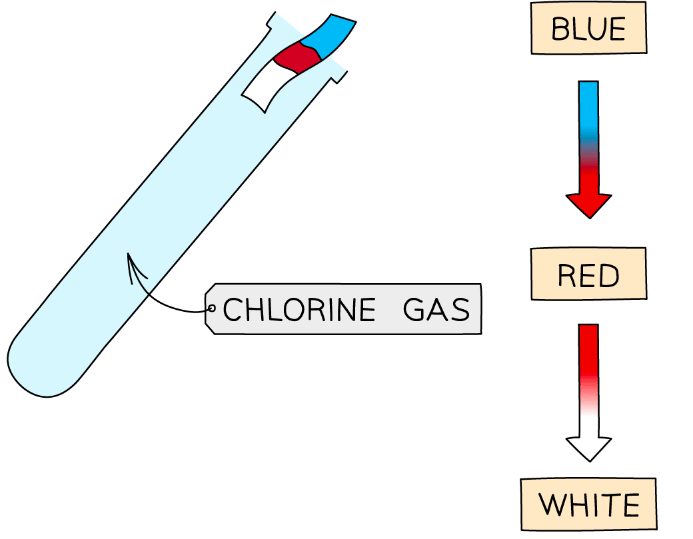 Tests for Gases Chemistry for Grade 10