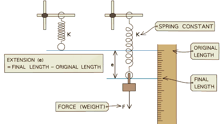 Hooke's Law - Physics for Grade 10 PDF Download